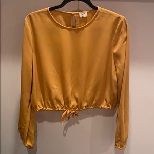 Aritzia Wilfred Drawstring Cropped Blouse